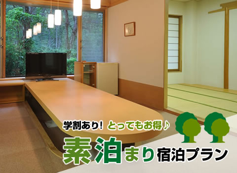 団体様限定　素泊まりプラン