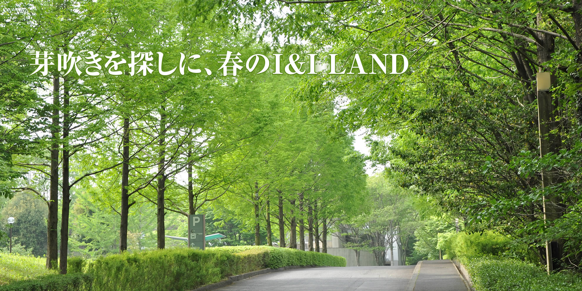 芽吹きを探しに、春のI&I LAND