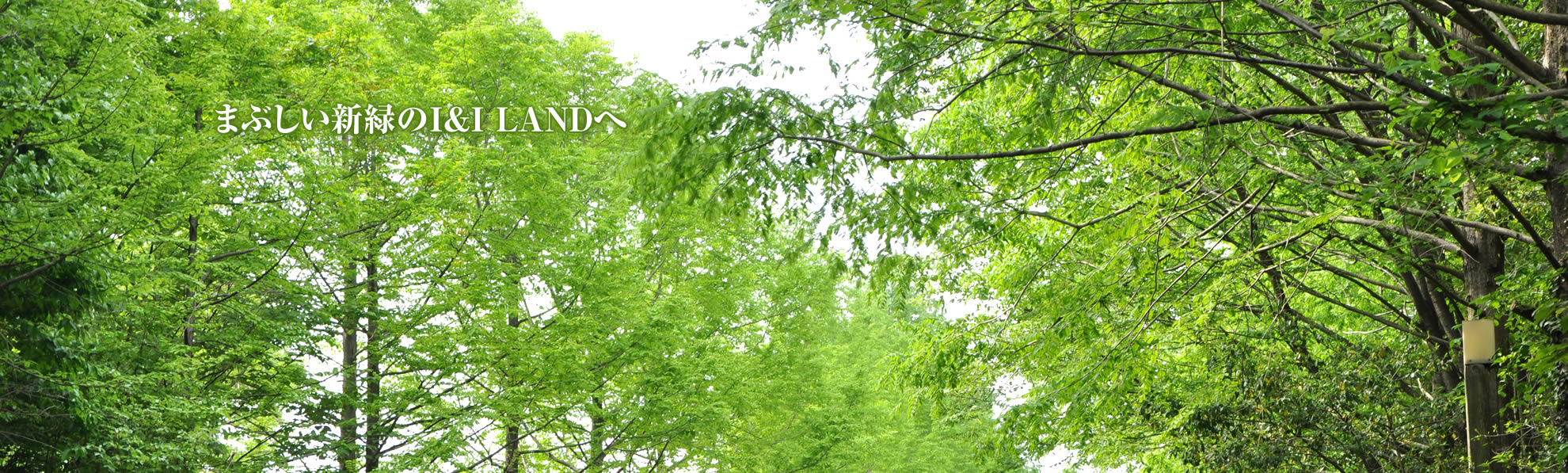 芽まぶしい新緑のI&I LANDへ