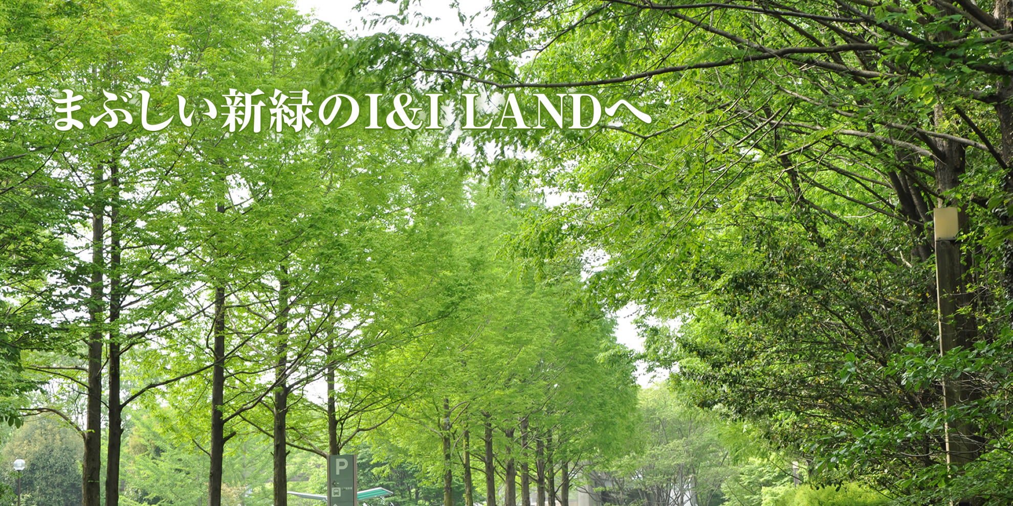 芽まぶしい新緑のI&I LANDへ