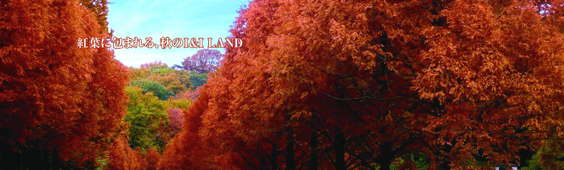 紅葉に包まれる、秋のI&I LAND