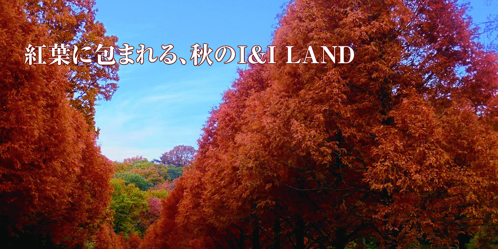 紅葉に包まれる、秋のI&I LAND